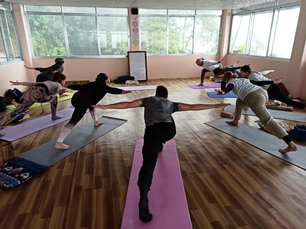 Practice & teaching 1