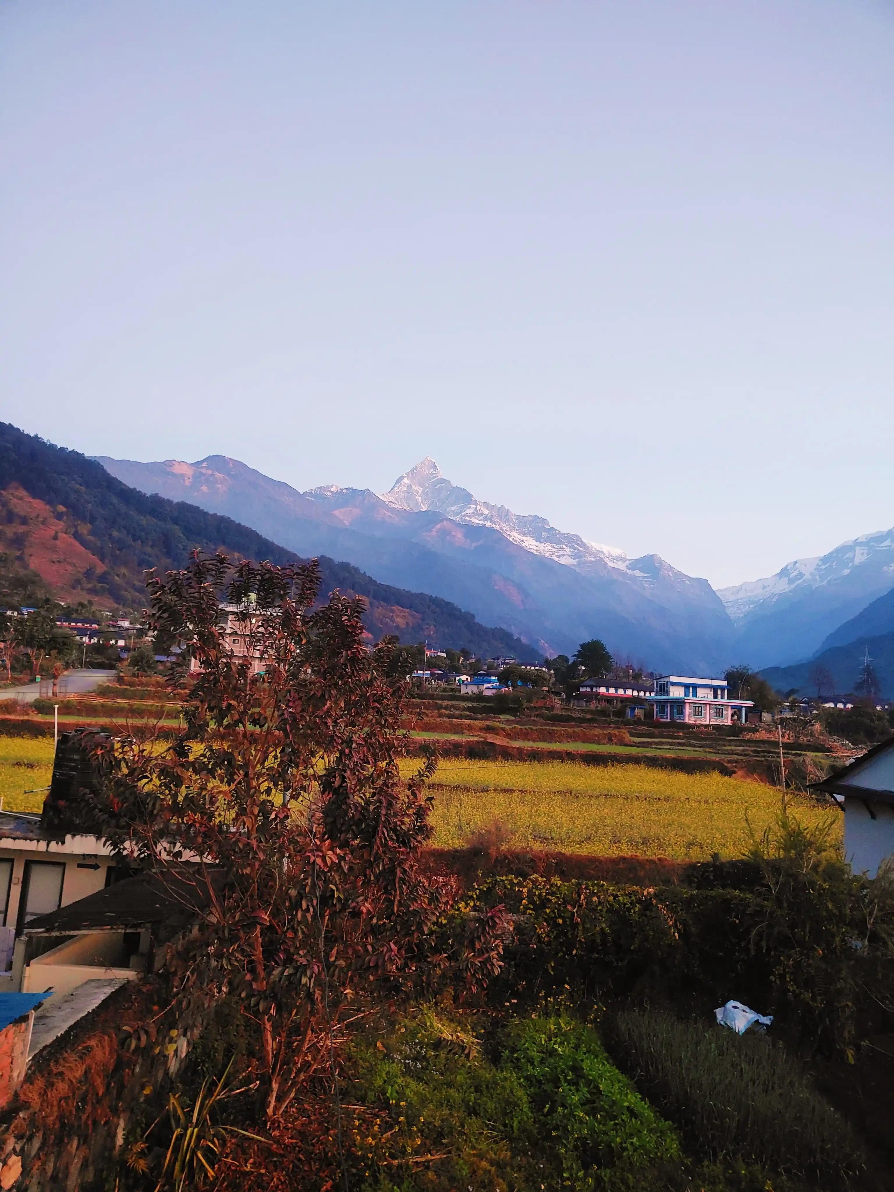 Ashram premises and